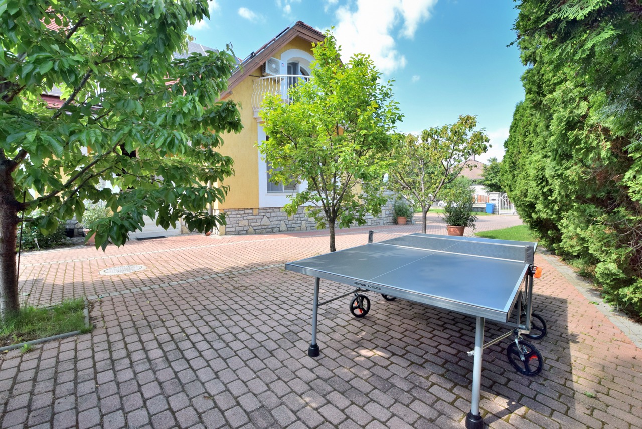 Ping-pong asztal 2